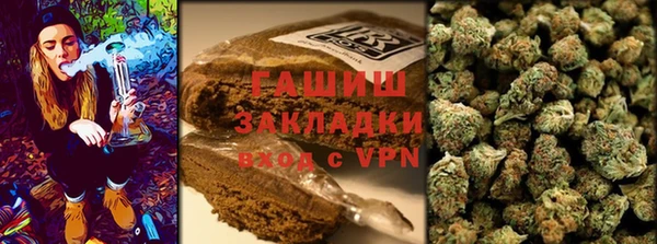 PSILOCYBIN Гусиноозёрск